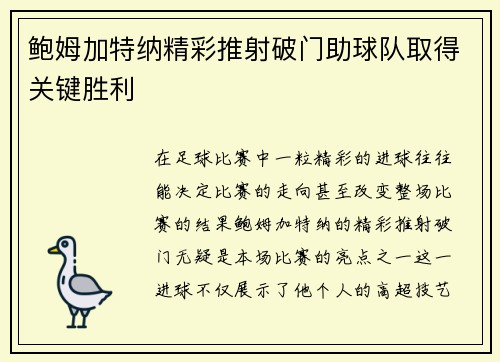 鲍姆加特纳精彩推射破门助球队取得关键胜利